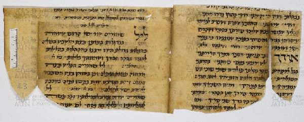 Pergamene ebraiche ACAMO 2-63, s.s - 3b