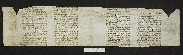 Pergamene ebraiche ACMO 1-103, App. 1-3 - pag. 101.2a