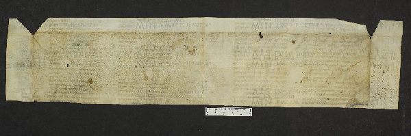Pergamene ebraiche ACMO 1-103, App. 1-3 - pag. 101.2b