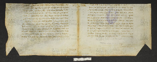 Pergamene ebraiche ACMO 1-103, App. 1-3 - pag. 45.2a