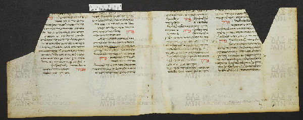 Pergamene ebraiche ACMO 1-103, App. 1-3 - pag. 48.2a