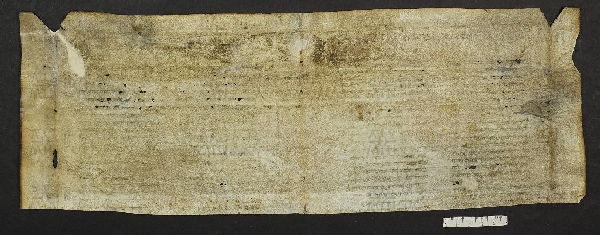 Pergamene ebraiche ACMO 1-103, App. 1-3 - pag. 49.2b