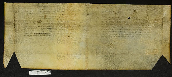 Pergamene ebraiche ACMO 1-103, App. 1-3 - pag. 52.2b