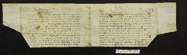 Pergamene ebraiche ACMO 1-103, App. 1-3 - pag. 53.2b