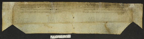 Pergamene ebraiche ACMO 1-103, App. 1-3 - pag. 61.3b