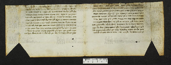 Pergamene ebraiche ACMO 1-103, App. 1-3 - pag. 62.2a