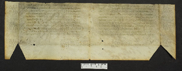 Pergamene ebraiche ACMO 1-103, App. 1-3 - pag. 62.2b