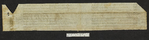 Pergamene ebraiche ACMO 1-103, App. 1-3 - pag. 96.3b