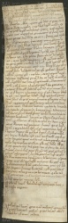 146 E.1.CXXXIIr, Investitura fatta da Ribaldo vescovo a favore di Guiberto, Bernardo, Alberto e Pietro de' Fanti da Montale, Modena, 1146