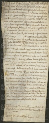 152 E.2.CXXXVIr, Investitura fatta da Ribaldo vescovo a favore di Antolino e Giovanni, Modena, 1148, feb.
