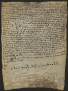 143 C.12.CXLIIIr, Investitura fatta da Wiberto vescovo a favore di Fredolfo da Vetriola, Modena, 1054, mar. 4