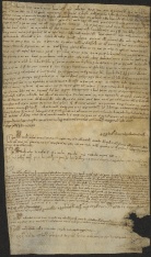 188 C.21.CLXXXVIIIr, Acquisto fatto da Eriberto vescovo, vendutogli da Donato arciprete, da Giovanni e Wiberto preti e da alcuni altri, Cittanova, 1069, ago. 17