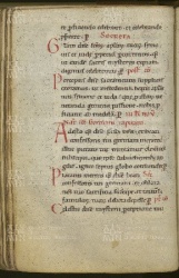 161v