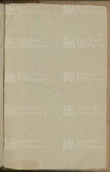 243 sguardiaB2