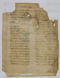 Pergamene ebraiche ACAMO 2-63, s.s - 18a