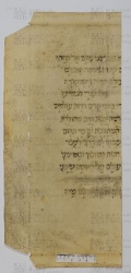Pergamene ebraiche ACAMO 2-63, s.s - 25.2a