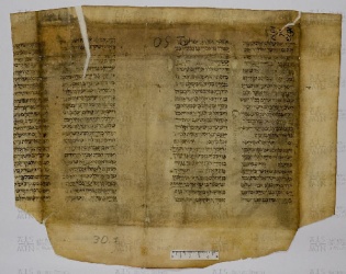 Pergamene ebraiche ACAMO 2-63, s.s - 30.1b