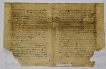 Pergamene ebraiche ACAMO 2-63, s.s - 34.1a