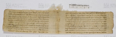 Pergamene ebraiche ACAMO 2-63, s.s - 36.3a