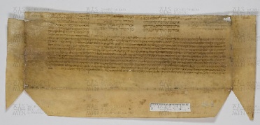Pergamene ebraiche ACAMO 2-63, s.s - 38.2a
