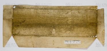 Pergamene ebraiche ACAMO 2-63, s.s - 38.2b