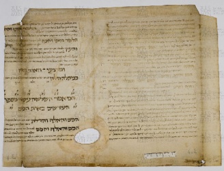 Pergamene ebraiche ACAMO 2-63, s.s - 4.2a