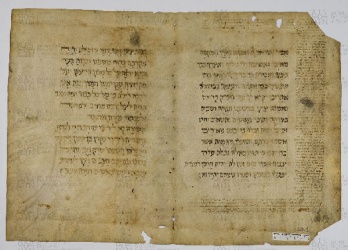 Pergamene ebraiche ACAMO 2-63, s.s - 40.1a