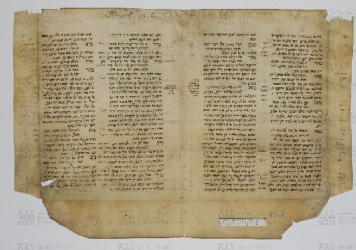 Pergamene ebraiche ACAMO 2-63, s.s - 45.2a