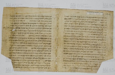 Pergamene ebraiche ACAMO 2-63, s.s - 46.2a