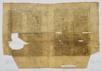 Pergamene ebraiche ACAMO 2-63, s.s - 47.1b