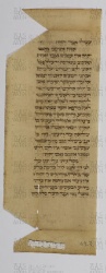 Pergamene ebraiche ACAMO 2-63, s.s - 49.2b