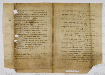 Pergamene ebraiche ACAMO 2-63, s.s - 5.1a