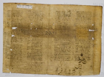 Pergamene ebraiche ACAMO 2-63, s.s - 51.1a