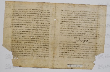 Pergamene ebraiche ACAMO 2-63, s.s - 52.1b