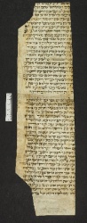 Pergamene ebraiche ACMO 1-103, App. 1-3 - pag. 10.2a