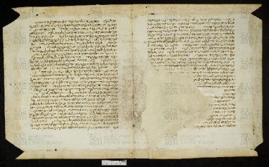 Pergamene ebraiche ACMO 1-103, App. 1-3 - pag. 13a
