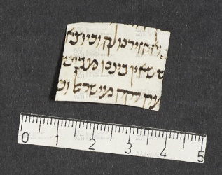 Pergamene ebraiche ACMO 1-103, App. 1-3 - pag. 17.3a