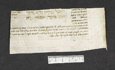 Pergamene ebraiche ACMO 1-103, App. 1-3 - pag. 22.3b