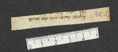 Pergamene ebraiche ACMO 1-103, App. 1-3 - pag. 35.4a