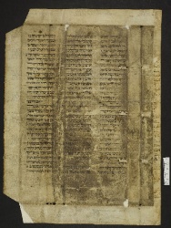 Pergamene ebraiche ACMO 1-103, App. 1-3 - pag. 38.1b