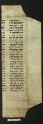Pergamene ebraiche ACMO 1-103, App. 1-3 - pag. 38.2a