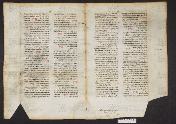 Pergamene ebraiche ACMO 1-103, App. 1-3 - pag. 42.1a