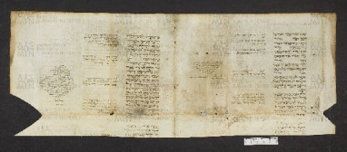 Pergamene ebraiche ACMO 1-103, App. 1-3 - pag. 43.2a