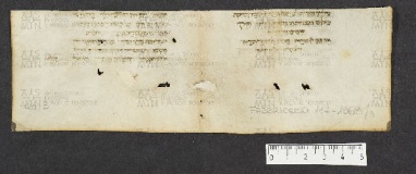 Pergamene ebraiche ACMO 1-103, App. 1-3 - pag. 44.3a