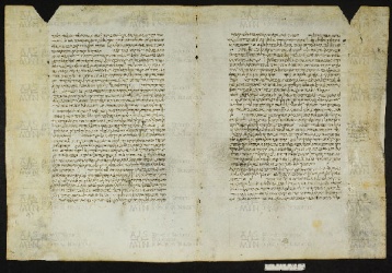 Pergamene ebraiche ACMO 1-103, App. 1-3 - pag. 47.1a