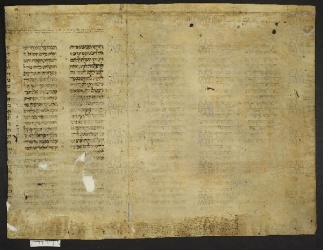 Pergamene ebraiche ACMO 1-103, App. 1-3 - pag. 5b