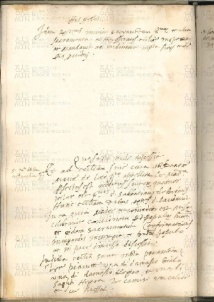 ACMo O.I.33 - pag. 19v Verducchia 1552