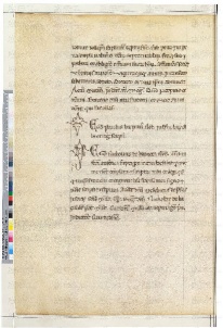 ACMo O.II.11 - pag. 205v