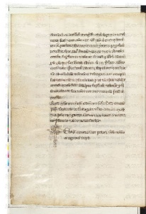 ACMo O.II.11 - pag. 224v