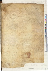 ACMo O.II.11 - pag. 299r